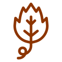 Leaf 1.png